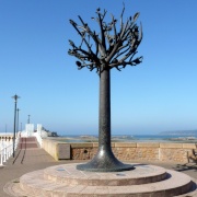 Freedom tree