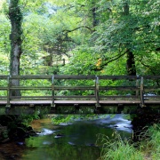Forge Valley footbridge