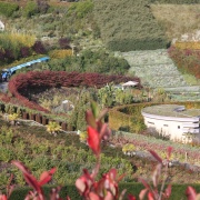 At the Eden Project