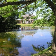 Reflections