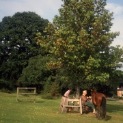 Picnic-ing with a pony for company at Minstead Green, New Forest