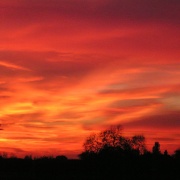 Wingham sunset