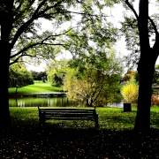 Swanley Park