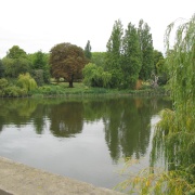 View across the pond in Hyde Park