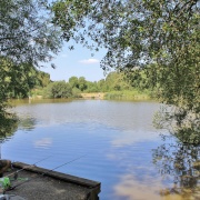 The Stew Pond- Epsom Common