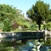 A riverside garden, Godmanchester