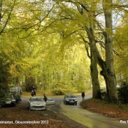 Hinegar Lane, Didmarton, Gloucestershire 2012