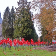 Poppies and St Helens Church