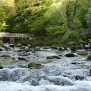 The confluence of the River Lyn and Hoar Oak Water at Watersmeet