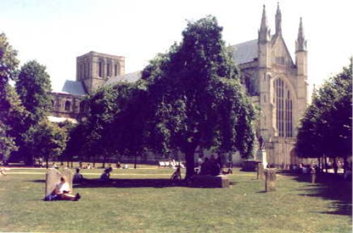 Winchester Cathedral