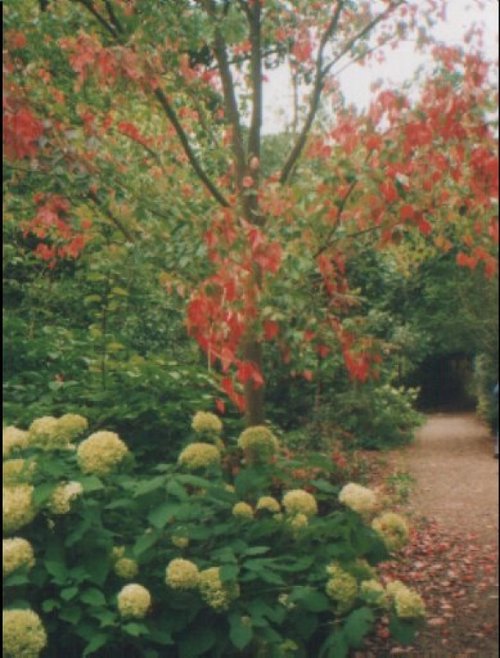 Hillier Gardens & Arboretum, Hampshire
