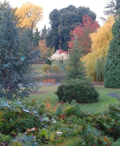 The Grove in Autumn. Carshalton, Surrey