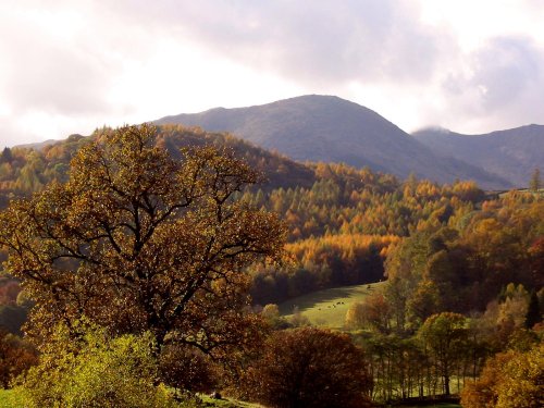 A picture of Ambleside