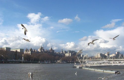 Thames river near London Eye