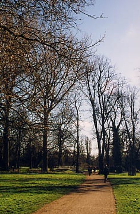 Morden Hall Park