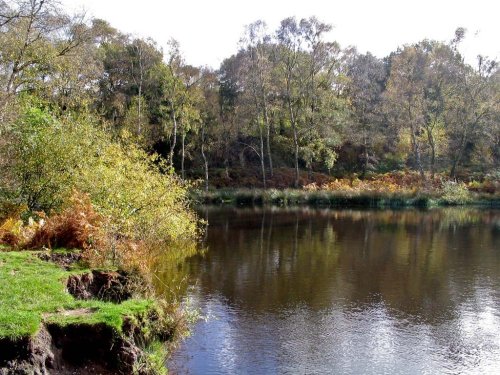 Cannock Chase, Staffordshire