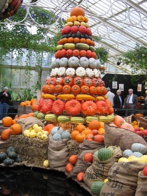 Kew Gardens Pumpkins