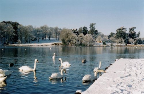 Trentham gardens, Staffordshire in the snow, Boxing Day 2004
