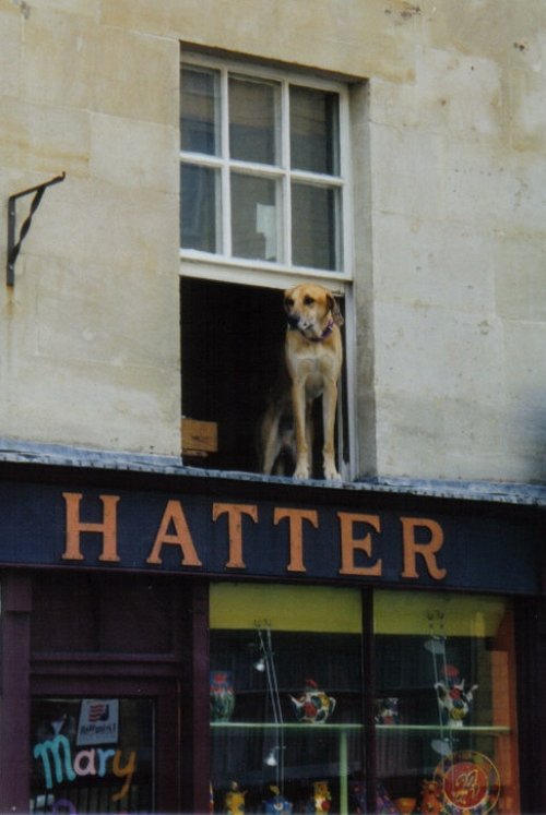 The Hatter of Bath
