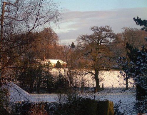 Winter Window View