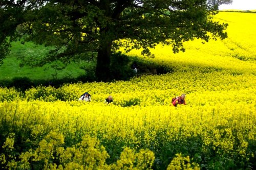 Abberley, Worcestershire