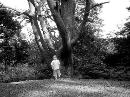 Stockgrove Country Park