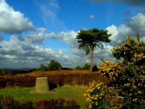 Ashdown Forest, East Sussex