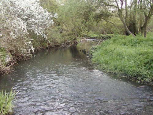 River Cole, Mill pool, Yardley Wood