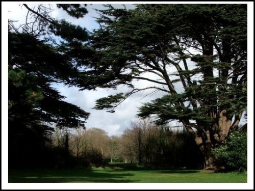 The Lovely grounds of Royal Victoria Country Park, Hampshire