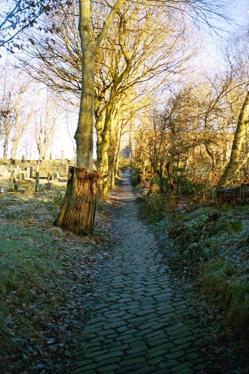 The Cobbled Path, Prestwich Clough