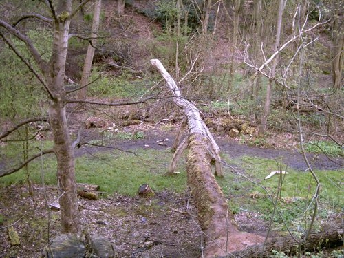 Sculpture of a Dinosaur, Prestwich Clough