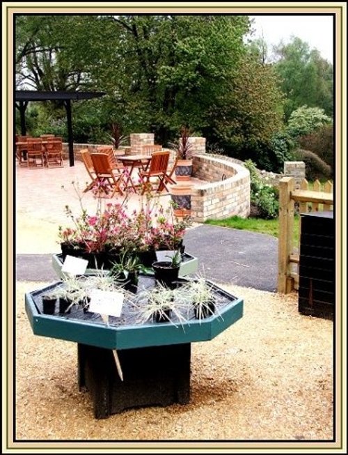 New  veranda, and tea rooms  Furzy Gardens, Minstead.  Hampsire