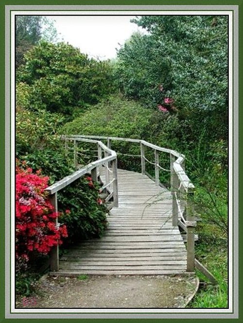 Small bridge  at Furzy Gardens.  Minstead.  New Forest