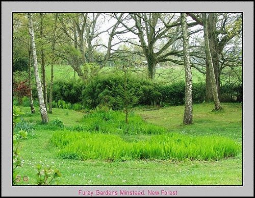 Scene at Furzy gardens April 24 2005