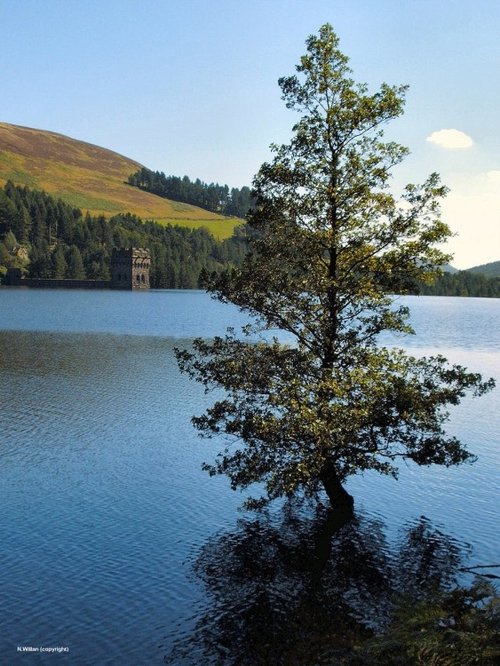 Taken looking across the south side of Derwent Reservoir towards the South dam