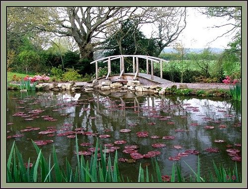 The Bridge from other side