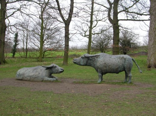 Water Buffalo by Elizabeth Frink, Yorkshire Sculpture Park.