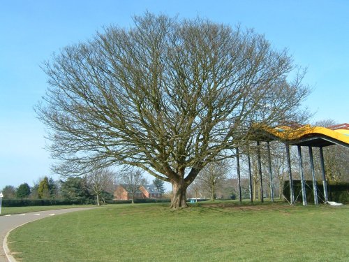 Wicksteed Park, Northamptonshire