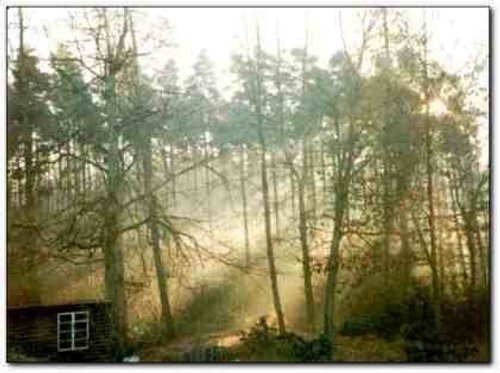 Sunrise at Tilgate Forest Country Park