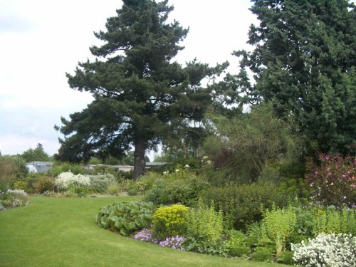 Beth Chatto Gardens