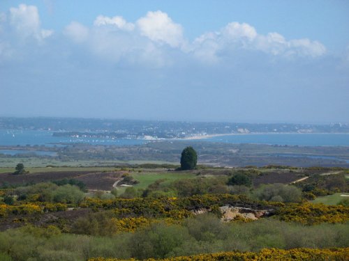 Isle of Purbeck, Dorset