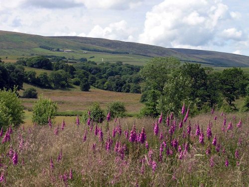 Near Slaidburn, Hodder Valley, Lancashire