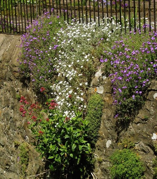 Alpines, West Bradford Village, Lancashire