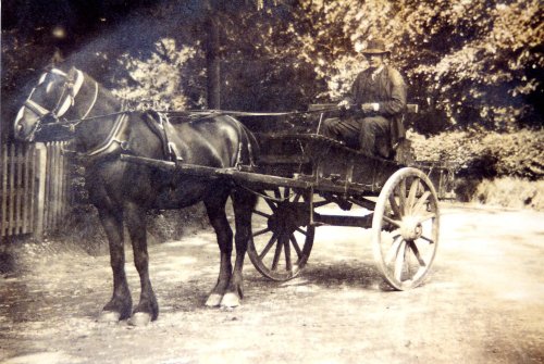 Horse and Trap (about 1930), Holden, near Bolton by Bowland, Lancashire