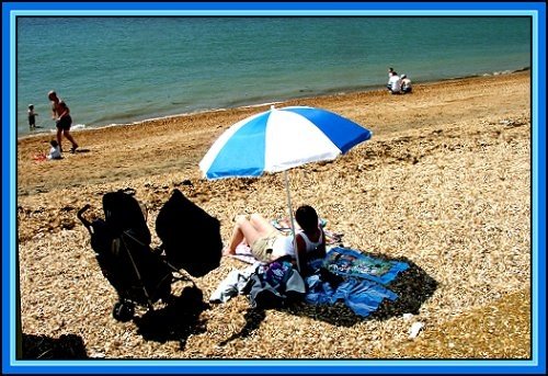 Summer comes to Royal Victoria Country Park, Netley