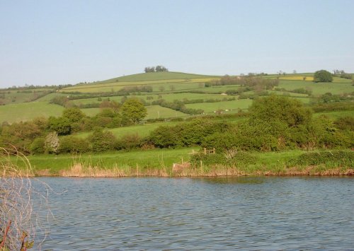 River Avon at Saltford, Somerset, looking towards Kelston Round Hill