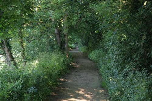 Around the Don Valley at Sprotbrough