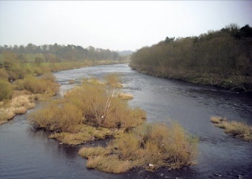 The River Tyne At Corbridge, Northumberland