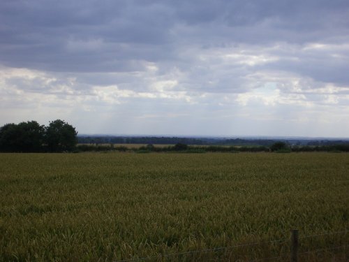 Lincolnshire view, South of Horncastle.