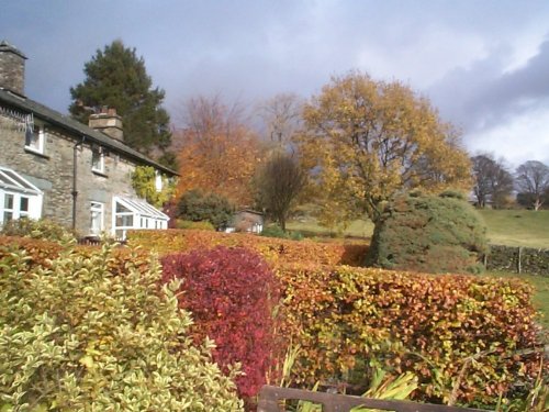 Sheepgates Cottage near Round Hill Farm on the Kirkstone Road, Ambleside, Cumbria. Nov 03